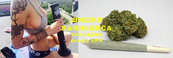 стаф Краснослободск