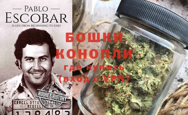 стаф Краснослободск