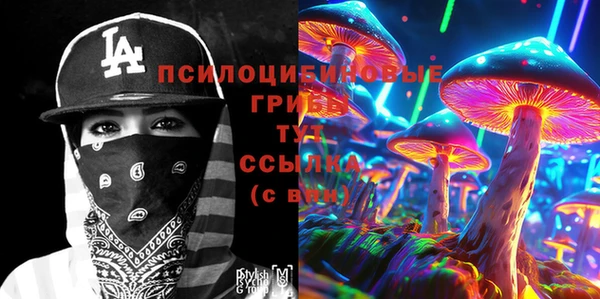 стаф Краснослободск