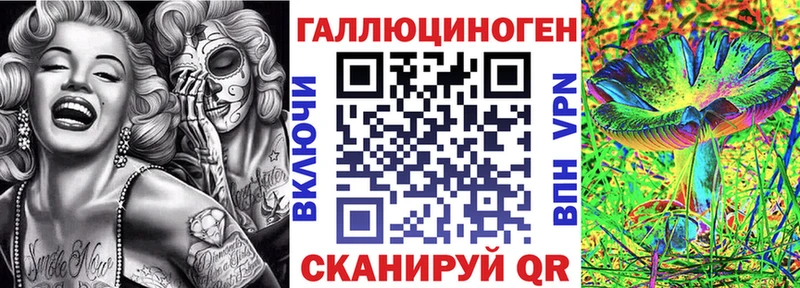 Галлюциногенные грибы MAGIC MUSHROOMS  где купить наркотик  Холм 