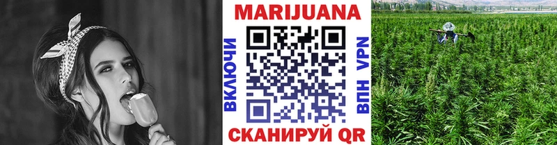Канабис Amnesia  купить закладку  Холм 